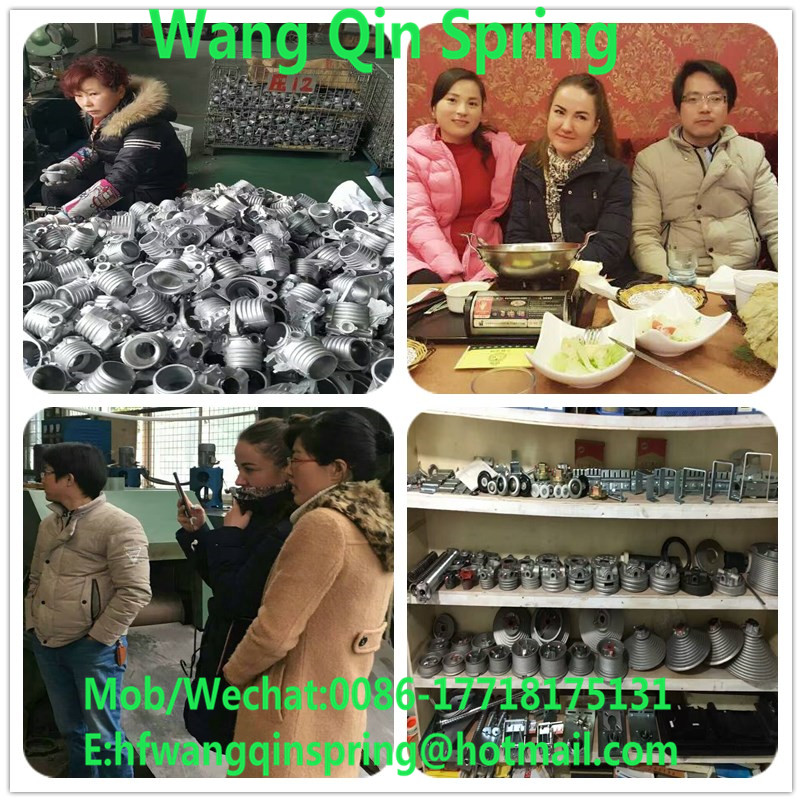 visit wang qin spring factory